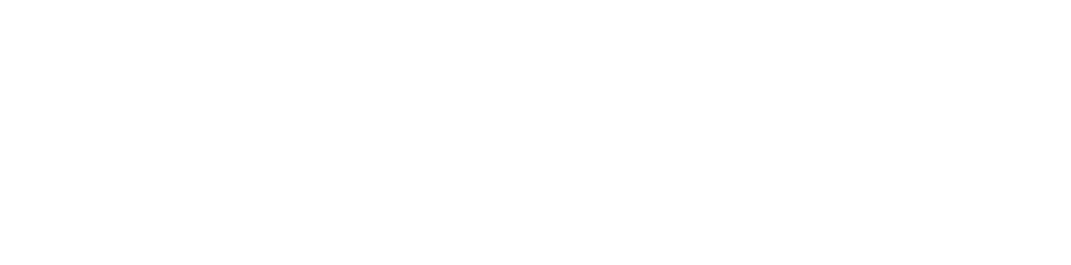 Elektro Fehn