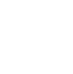 Baumpflege Immergrün